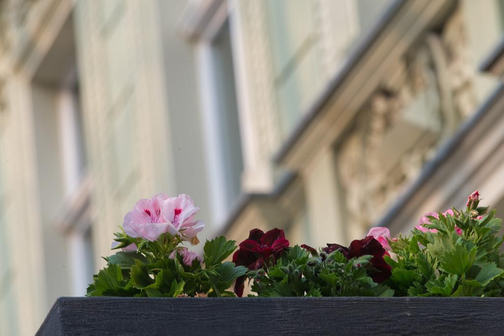 Sorat Hotel Chociebuż Zewnętrze zdjęcie