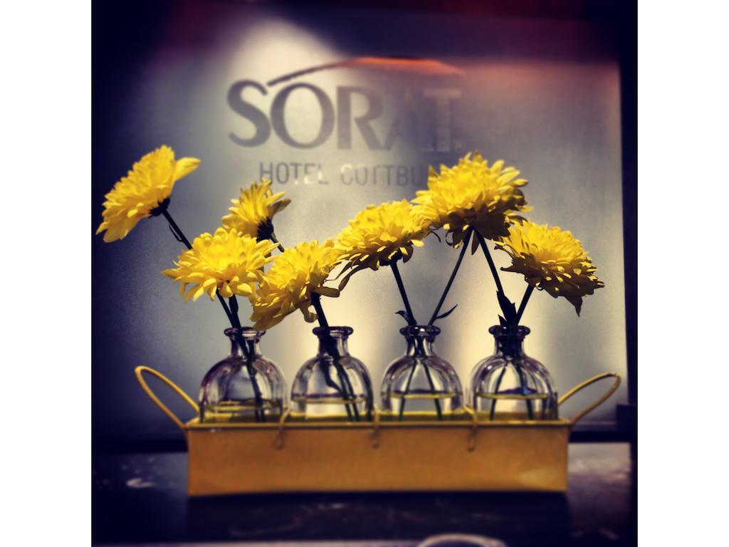 Sorat Hotel Chociebuż Zewnętrze zdjęcie